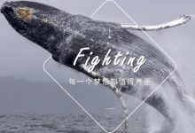 Fighting系列38例PPT模板简约精美的图文排版商务年终汇报-淇淇有料