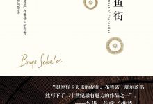 《鳄鱼街：布鲁诺·舒尔茨小说全集》mobi+epub+azw3下载-淇淇有料