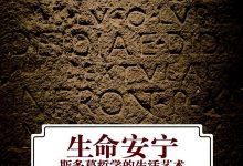 《生命安宁》pdf+epub+mobi+azw3电子书下载-淇淇有料