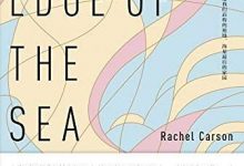 《海之滨》pdf+mobi+epub+azw3电子书下载-淇淇有料