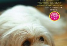 狗狗心事：全球驯犬畅销书-淇淇有料