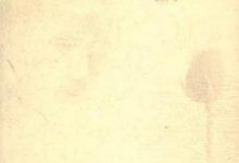 恶之花-淇淇有料