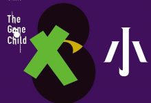 坏小孩（超火爆豆瓣8.9 分电视剧《隐秘的角落》原著小说）-淇淇有料