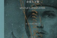 卡拉马佐夫兄弟套装上下册-淇淇有料