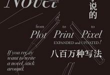 小说的八百万种写法-淇淇有料