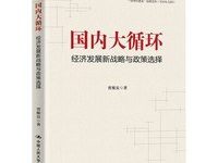 国内大循环：经济发展新战略与政策选择-淇淇有料