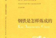 钢铁是怎样炼成的-淇淇有料