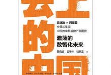 云上的中国：激荡的数智化未来-淇淇有料