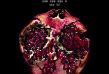 午夜阳光-淇淇有料