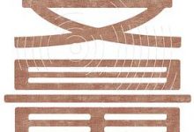 变量：看见中国社会小趋势-淇淇有料