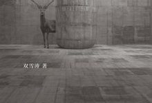 猎人-双雪涛-淇淇有料