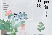 我的小阳台四季有花-淇淇有料