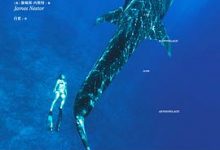 深海：探索寂静的未知-淇淇有料