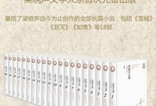 梁晓声文集·长篇小说-淇淇有料