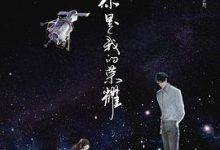 你是我的荣耀 - 顾漫-淇淇有料