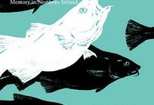 什么也别说：一桩北爱尔兰谋杀案-淇淇有料