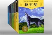 动物小说大王沈石溪品藏书系（套装共26册）-淇淇有料