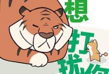 忍不住想打扰你-淇淇有料