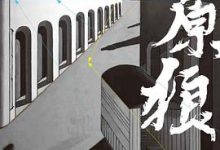 荒原狼-淇淇有料