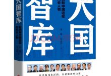 大国智库-淇淇有料