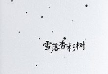 雪落香杉树-淇淇有料