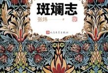 斑斓志：苏东坡七讲-淇淇有料