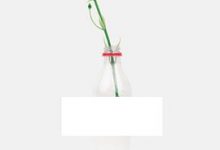 全球真实故事集-淇淇有料