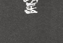 回望-金宇澄-淇淇有料