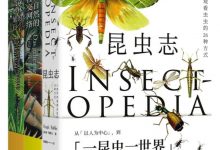 自然万物科普百科：昆虫志+大自然的社交网络+森林的奇妙旅行(套装共3册)-淇淇有料