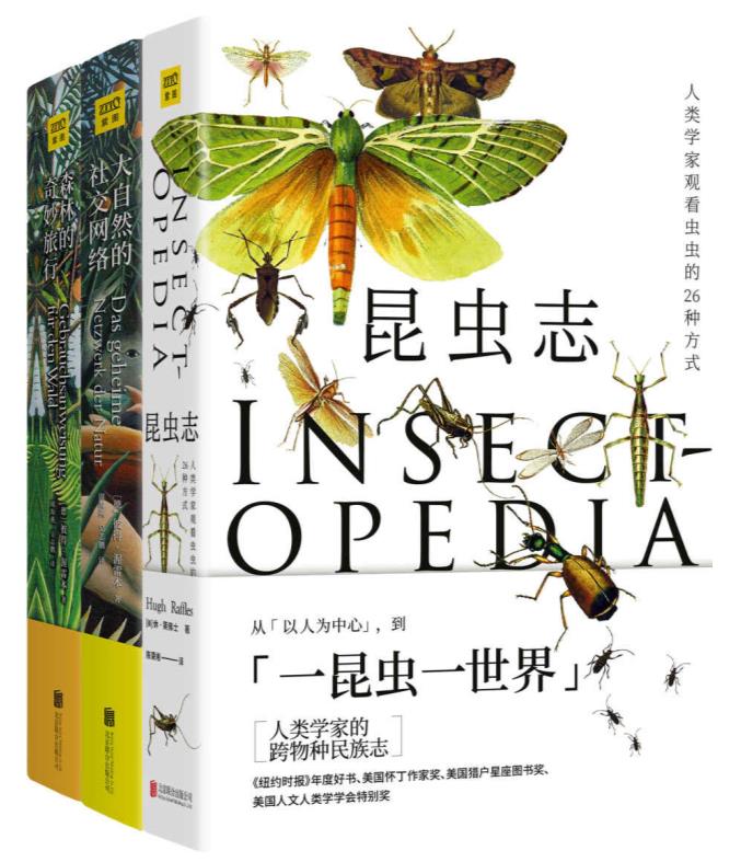 自然万物科普百科：昆虫记+大自然的社交网络+森林的奇妙旅行(套装共3册) 