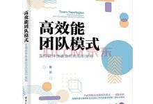 高效能团队模式：支持软件快速交付的组织架构-淇淇有料