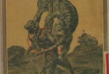 虎皮武士-淇淇有料