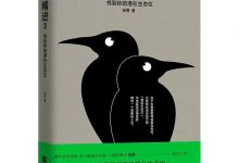 精进3：找到你的潜在生态位-淇淇有料