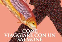 如何带着三文鱼旅行-淇淇有料