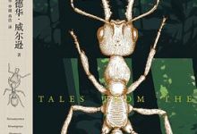 蚂蚁的世界（TALES FROM THE ANT WORLD）-淇淇有料