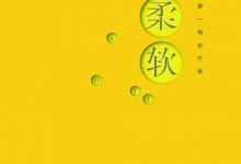 柔软 (廖一梅)-淇淇有料