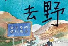 随风去野-淇淇有料