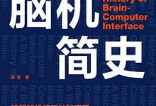 脑机简史-淇淇有料