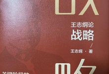 王志纲论战略：关键阶段的重大抉择-淇淇有料