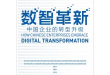 数智革新：中国企业的转型升级-淇淇有料