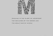 刚果战争：失败的利维坦与被遗忘的非洲大战-淇淇有料