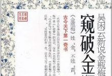 窥破金瓶：吴闲云新说金瓶梅-淇淇有料