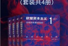 欲望资本主义（共4册）-淇淇有料