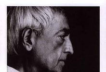 重新认识你自己-淇淇有料