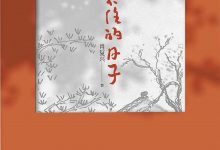 记不住的日子-淇淇有料