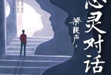 与心灵对话-淇淇有料