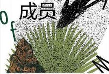 婚礼的成员-淇淇有料