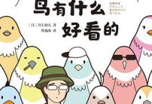 鸟有什么好看的-淇淇有料