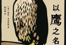 以鹰之名-淇淇有料