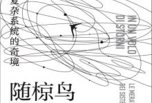 随椋鸟飞行：复杂系统的奇境-淇淇有料